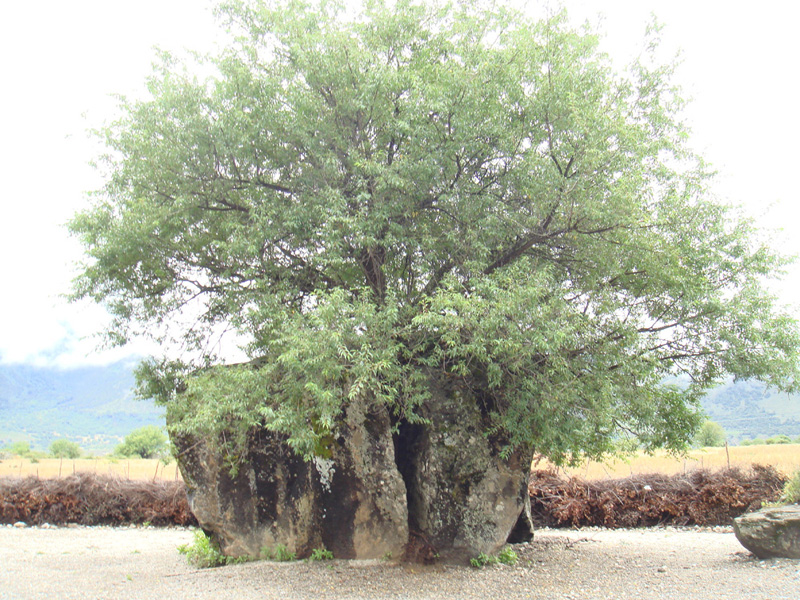 08年拍雅鲁藏布江大峡谷04.JPG