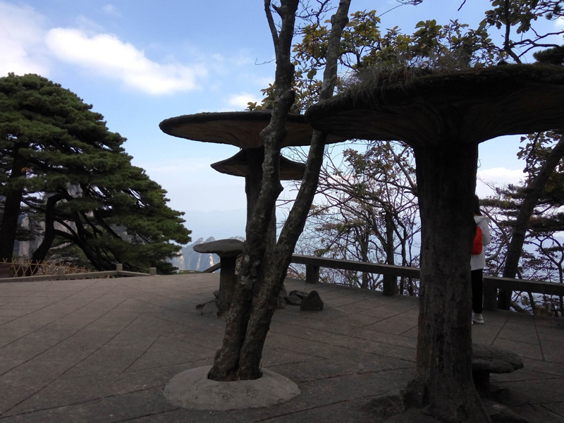 05灵芝亭02.jpg