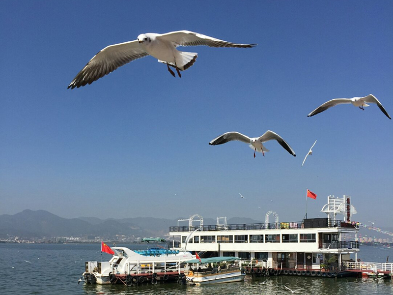 01昆明滇池06.jpg