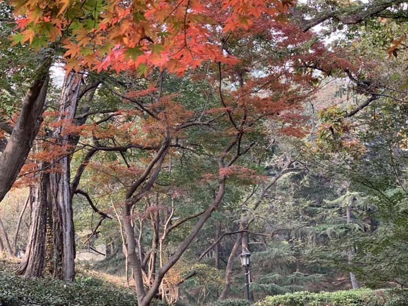 中山公园02.jpg