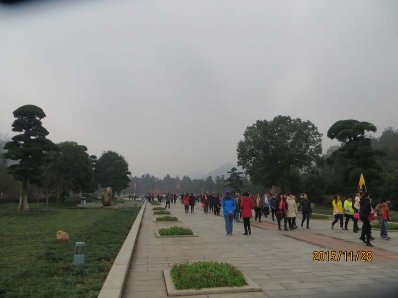 IMG_5445.JPG
