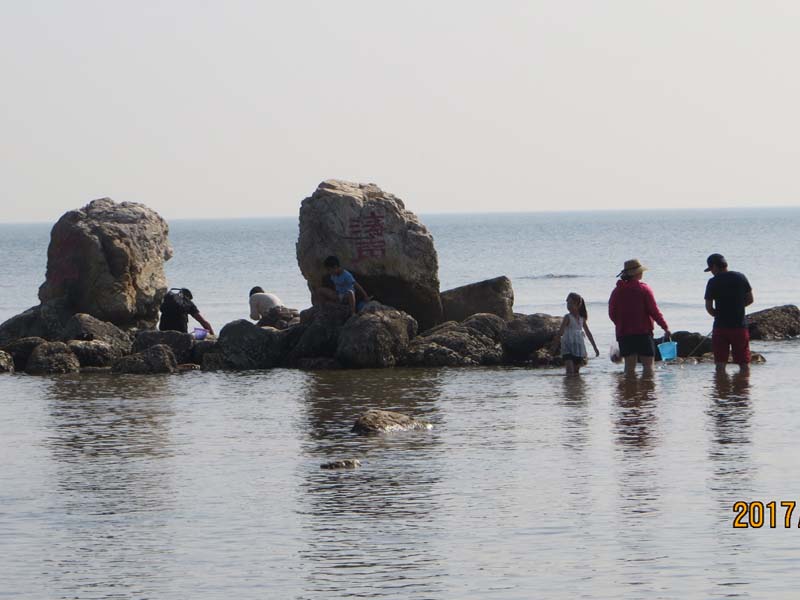 IMG_7071.JPG