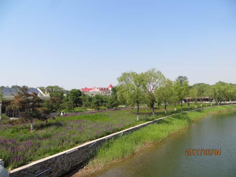 IMG_7127.JPG