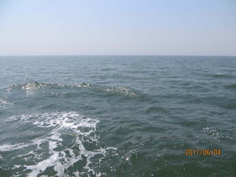 IMG_7151.JPG