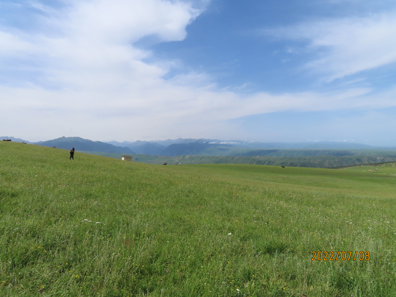 IMG_8467.JPG