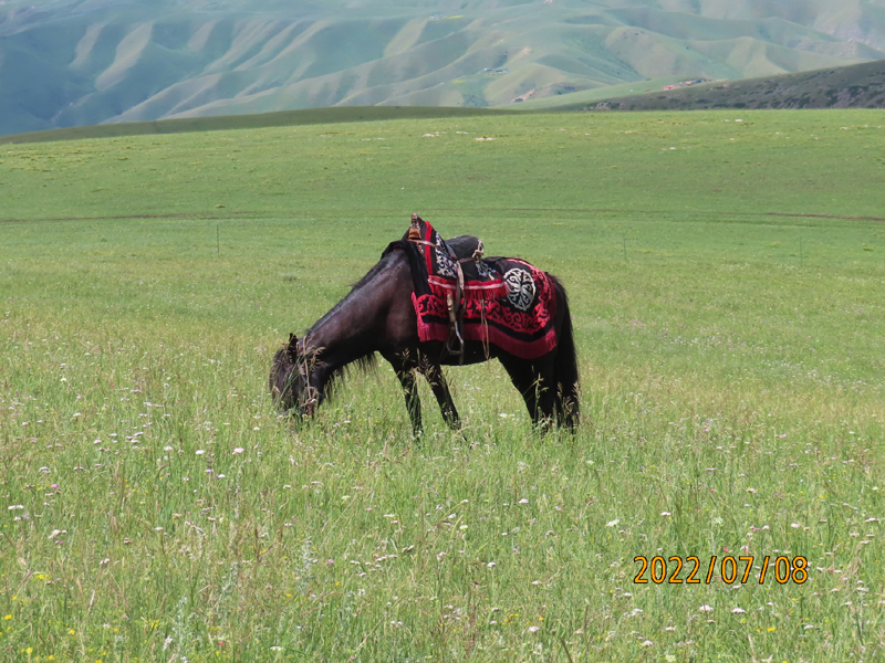 IMG_8473.JPG
