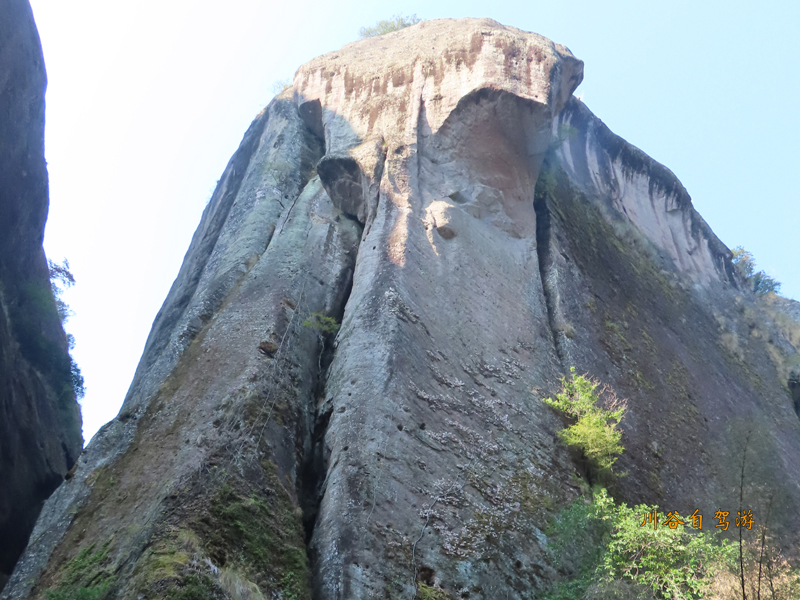 武夷山11.JPG