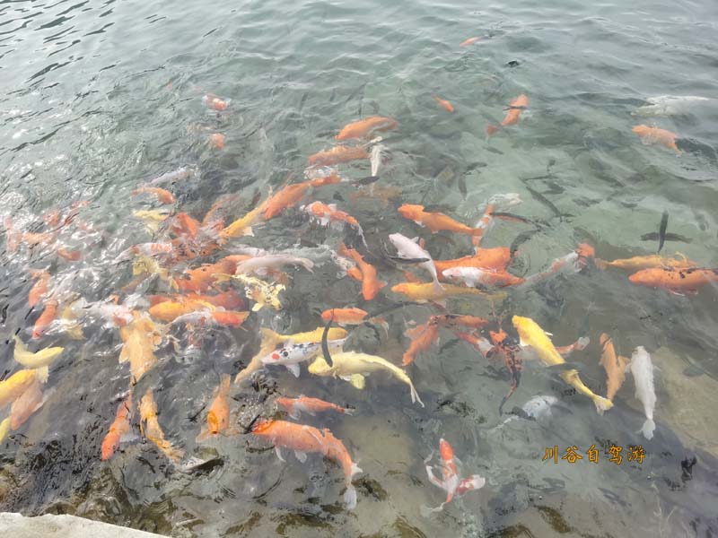 21湖光岩.jpg