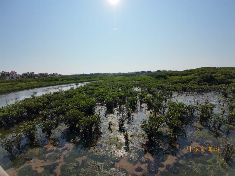 14富力红树林.JPG