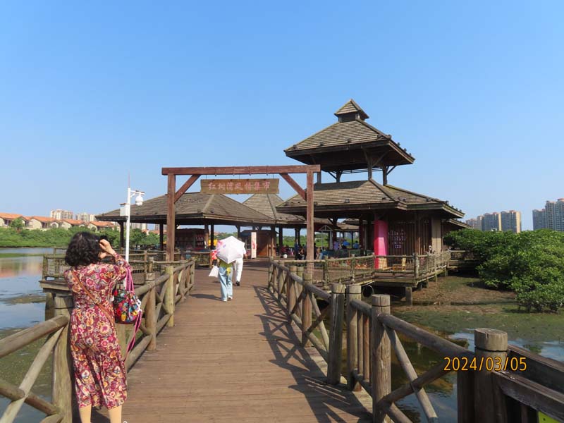 15富力红树林.JPG