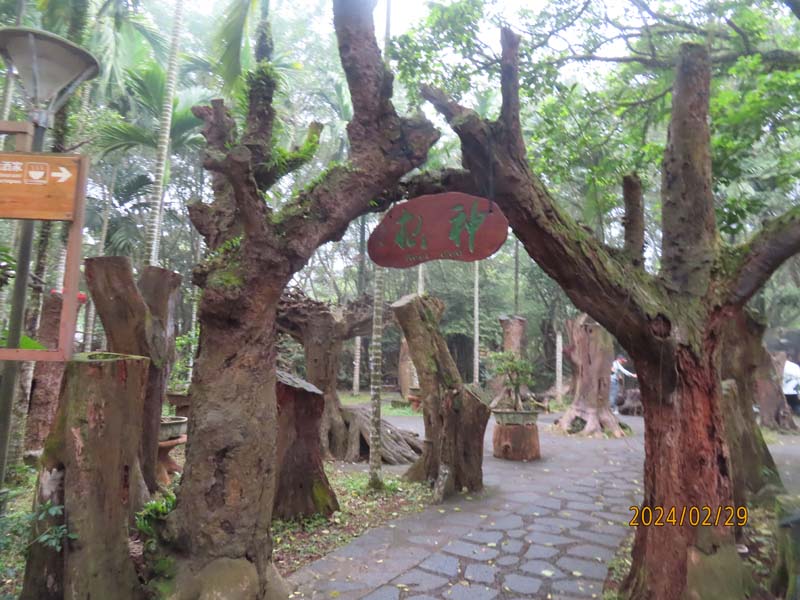 20火山口公园.JPG