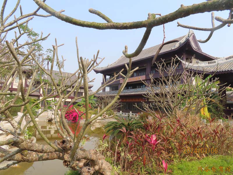 29风情商业街.JPG