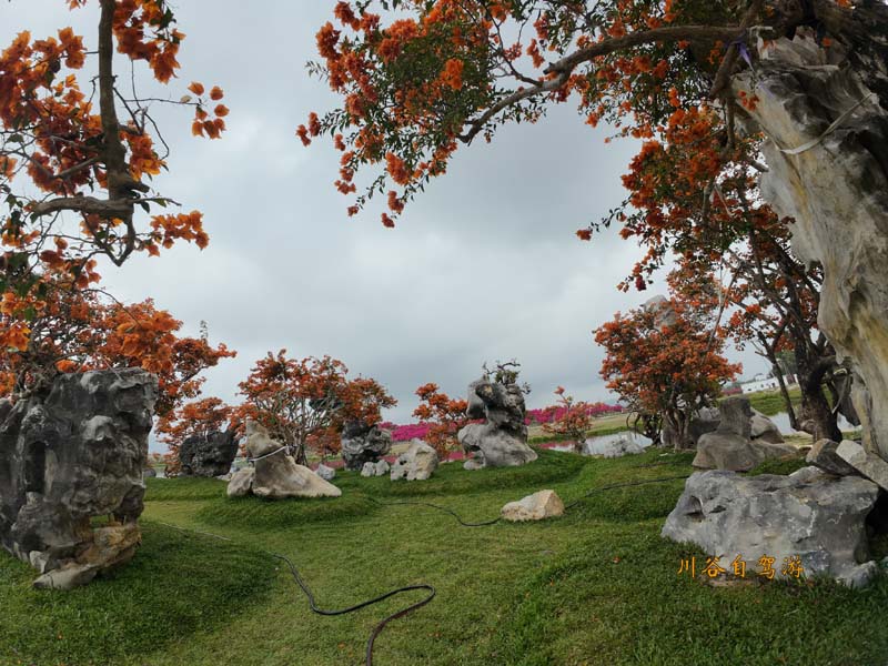05陵水南湾花镇.JPG