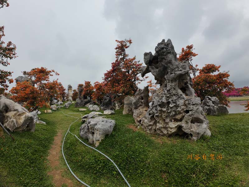 06陵水南湾花镇.JPG