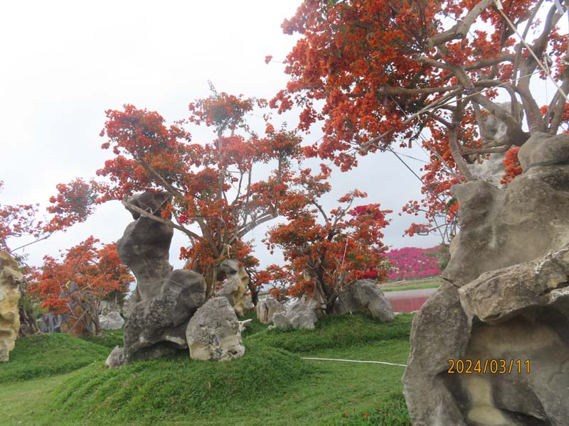 08陵水南湾花镇.JPG 08陵水南湾花镇.JPG