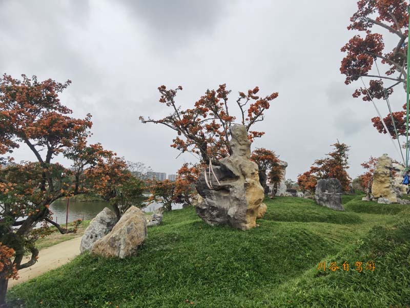 20陵水南湾花镇.jpg
