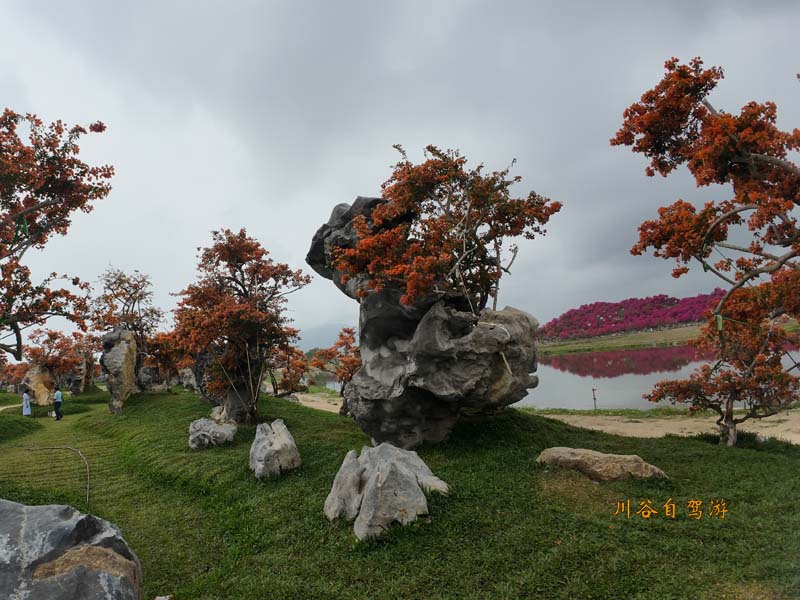 16陵水南湾花镇.JPG