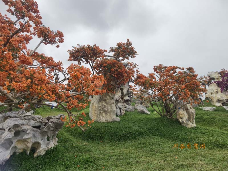19陵水南湾花镇.jpg