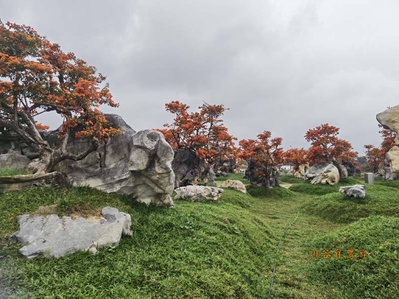 24陵水南湾花镇.jpg