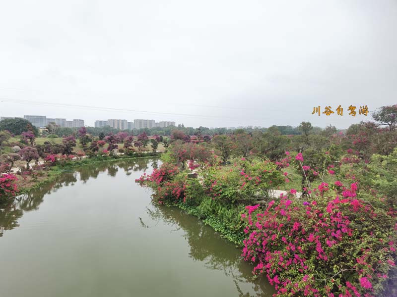 18陵水南湾花镇.jpg