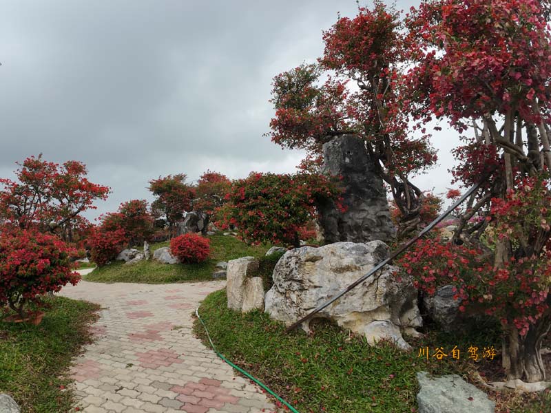 25陵水南湾花镇.JPG