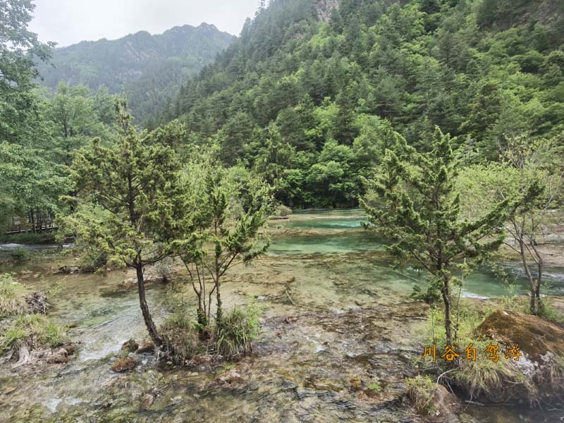 81盆景滩.jpg