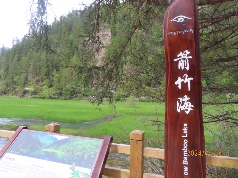 01箭竹海.JPG