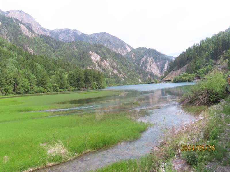 06箭竹海.JPG