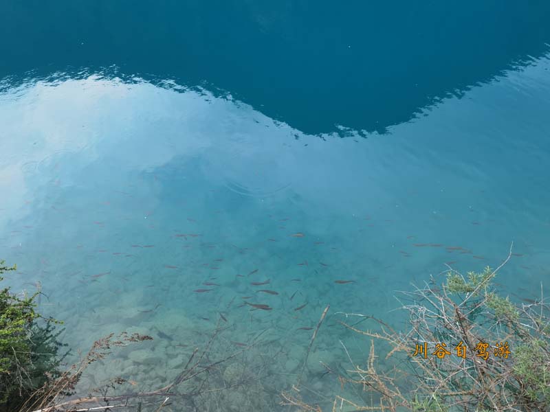 06老虎海.jpg