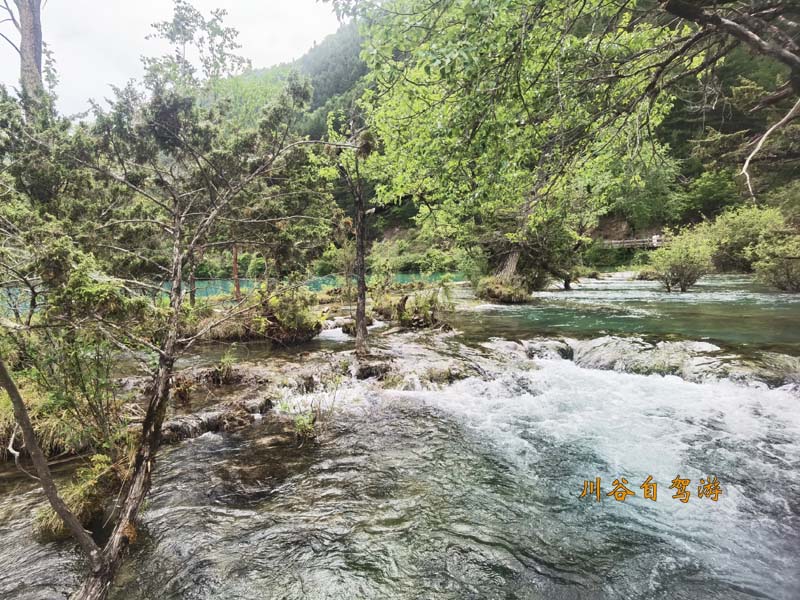 05老虎海.jpg