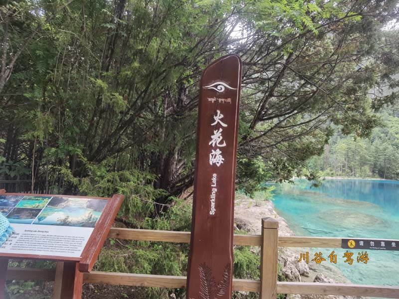 01火花海.jpg