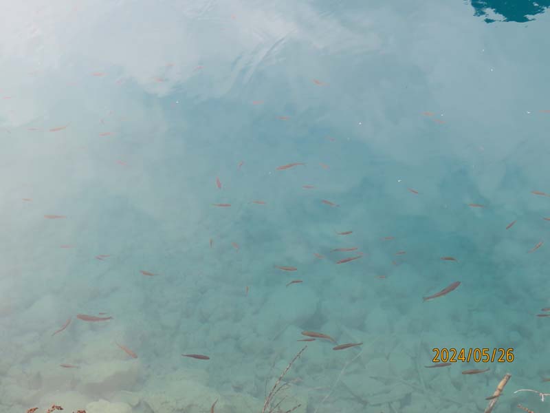 06火花海.JPG