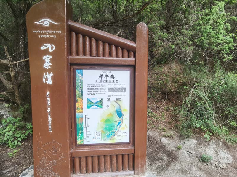 01犀牛海.jpg