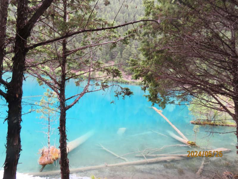 07犀牛海.JPG