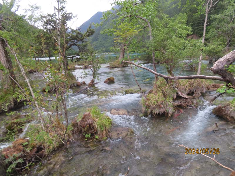 04犀牛海.JPG