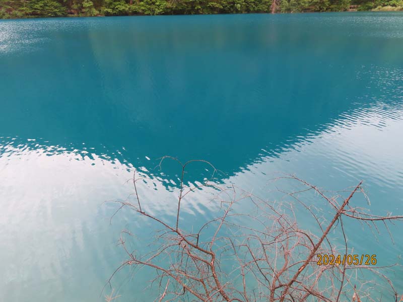 12犀牛海.JPG