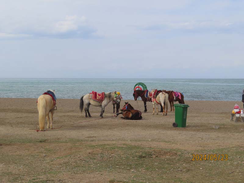 17黑马河.JPG