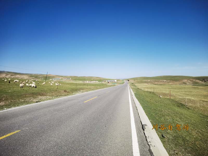 18环湖西路.jpg