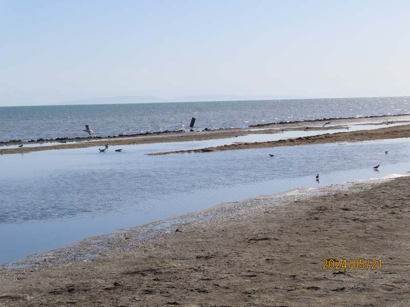 08环湖公路下集.JPG