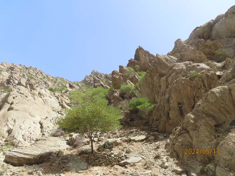 08贺兰山山脉观光.JPG