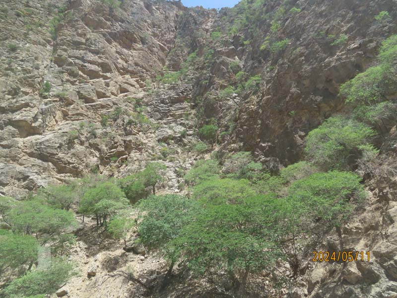 19贺兰山山脉观光.JPG
