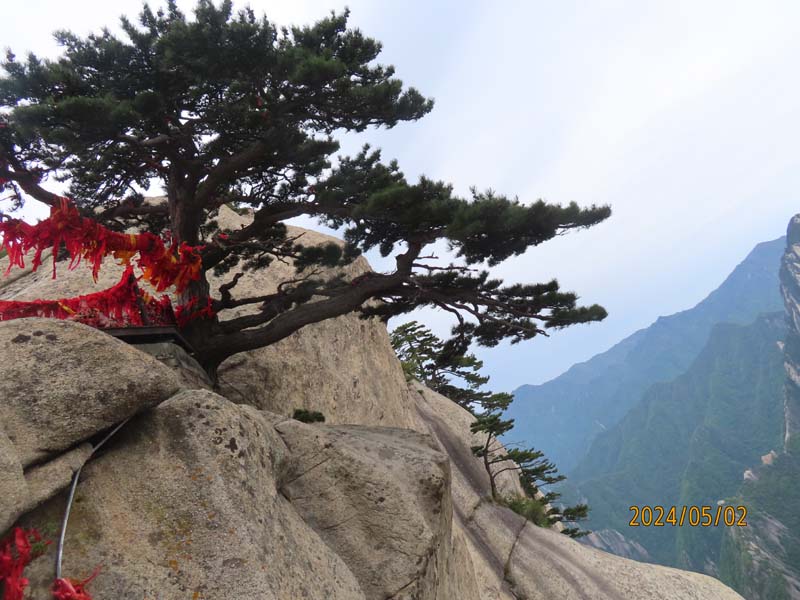 03华山论剑.JPG