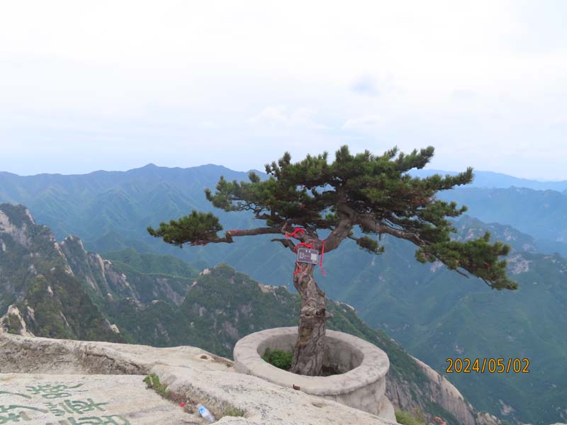 08华山论剑.JPG