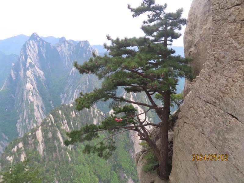 06华山论剑.JPG