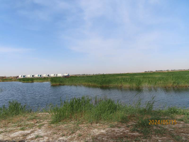 11巴彦淖尔纳林湖景区.JPG