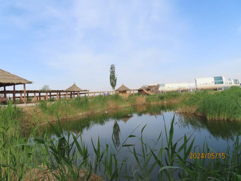 12巴彦淖尔纳林湖景区.JPG