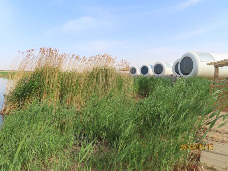 13巴彦淖尔纳林湖景区.JPG