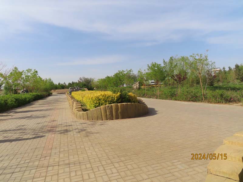 09巴彦淖尔纳林湖景区.JPG