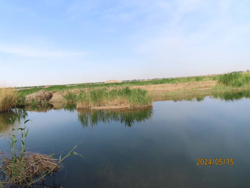 14巴彦淖尔纳林湖景区.JPG