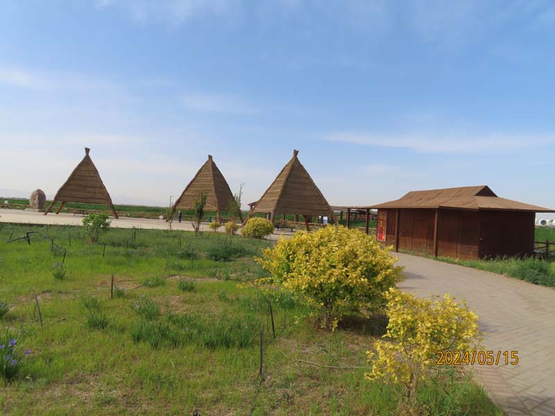10巴彦淖尔纳林湖景区.JPG